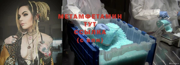 индика Краснослободск