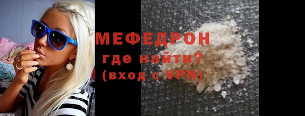 индика Краснослободск