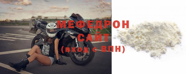 индика Краснослободск