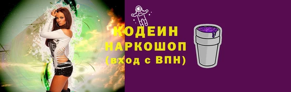 индика Краснослободск