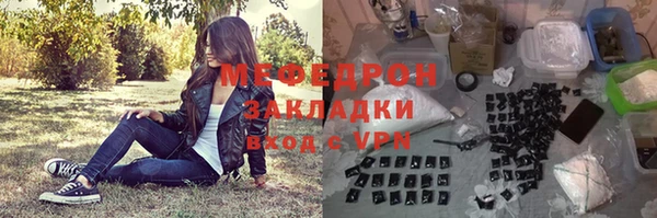 индика Краснослободск