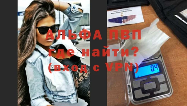 индика Краснослободск