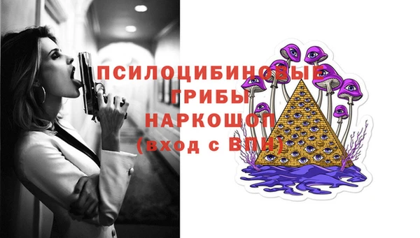 индика Краснослободск