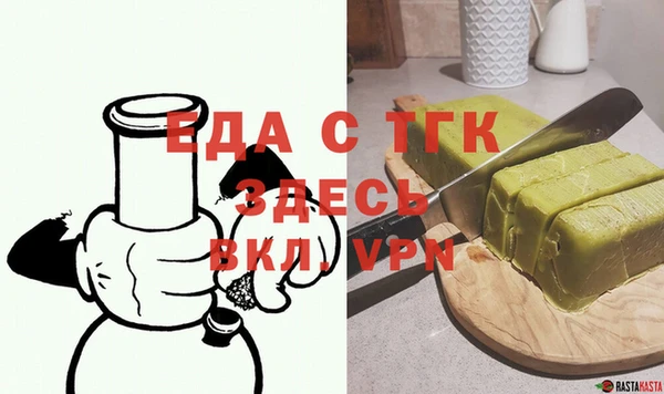 индика Краснослободск